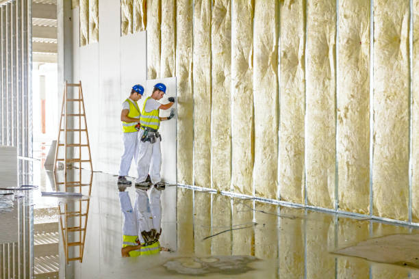 Types of Insulation We Offer in New Market, VA